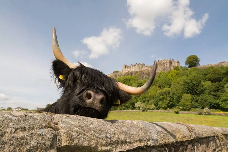 Tour Loch Lomond, Stirling & Perth