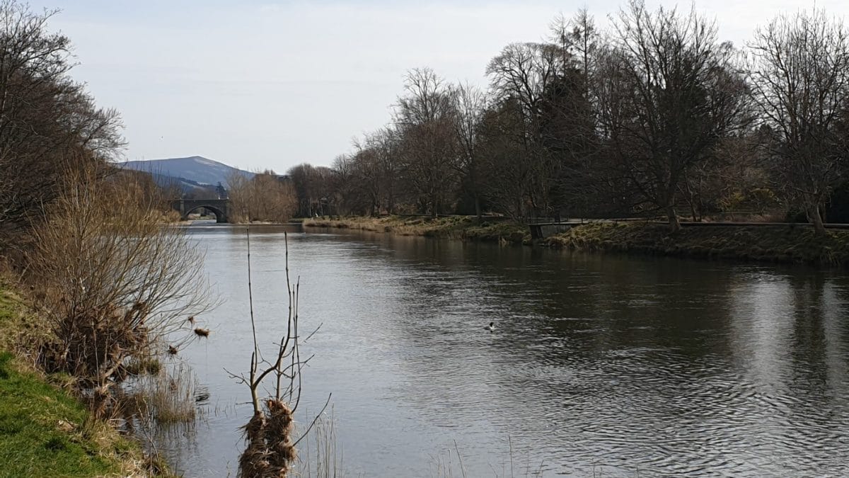 Not exactly a walk in the park: Scotland’s links to the slave trade